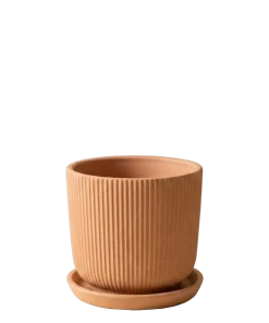 حوض فخاري مضلع